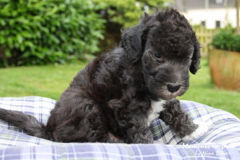 Arc-en-ciel Antares 2009-06-17 (45).JPG